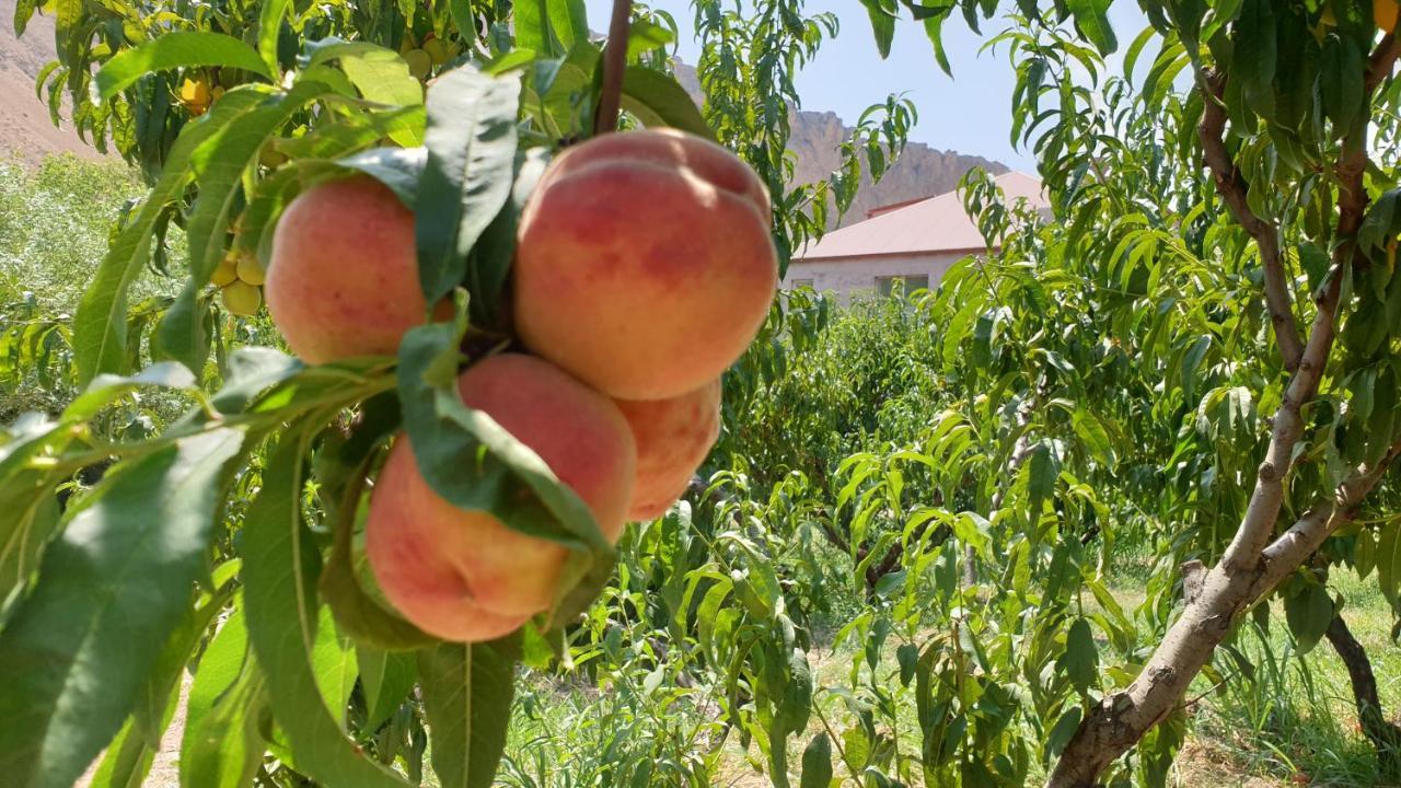 Areni Lodge Εξωτερικό φωτογραφία