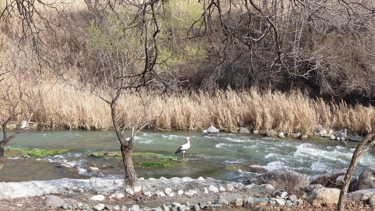 Areni Lodge Εξωτερικό φωτογραφία